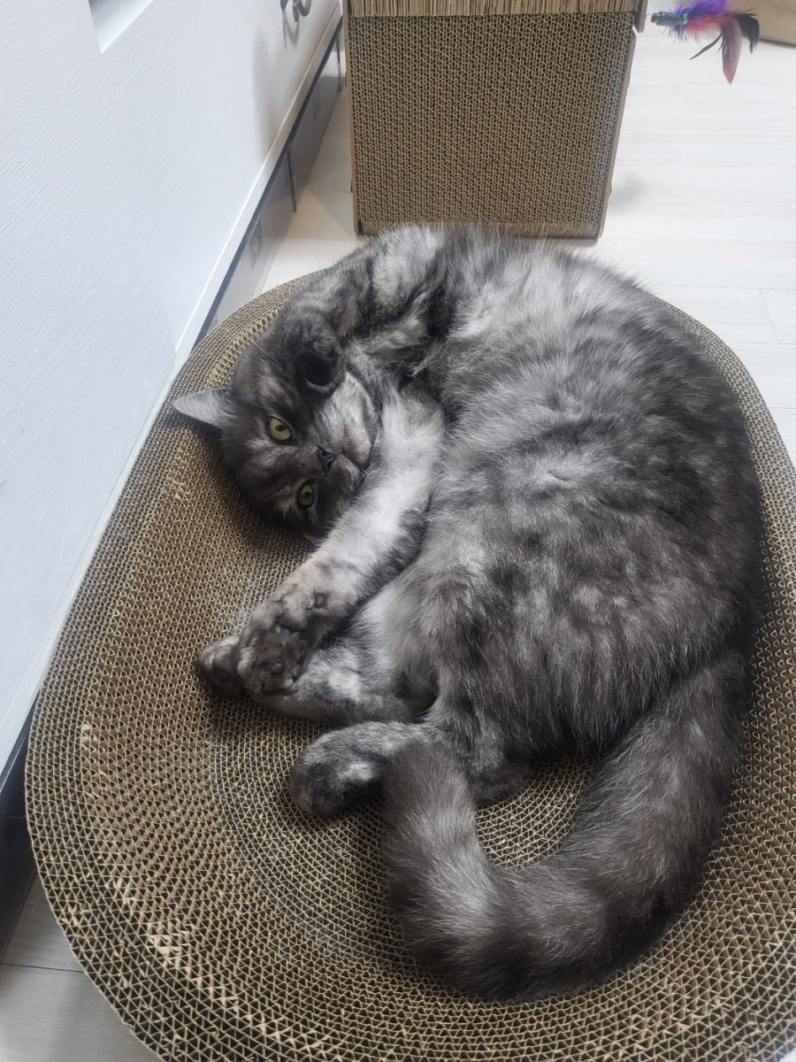 츮 
