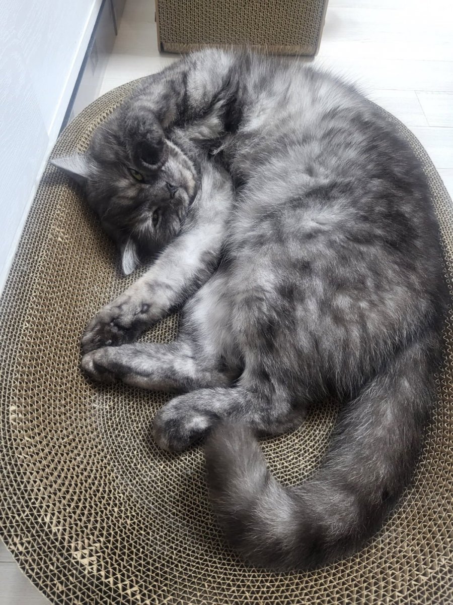 츮 