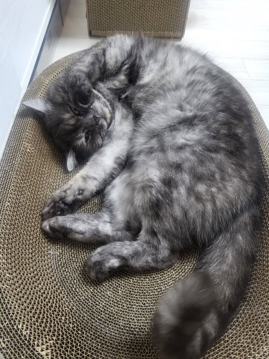 츮 