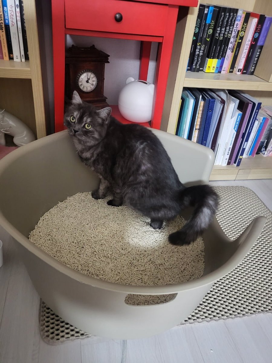 츮 