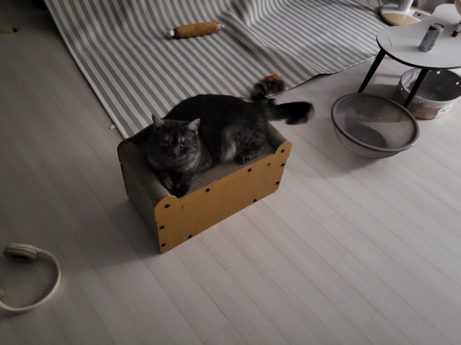 츮 