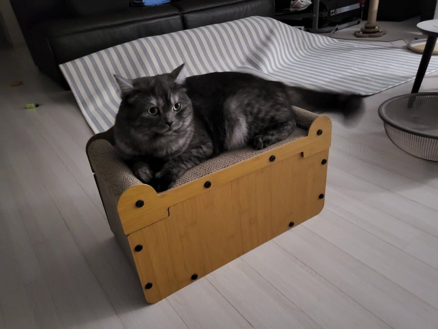 츮 