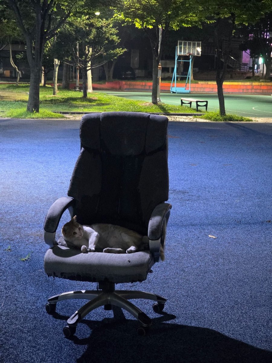  ῡ  ~