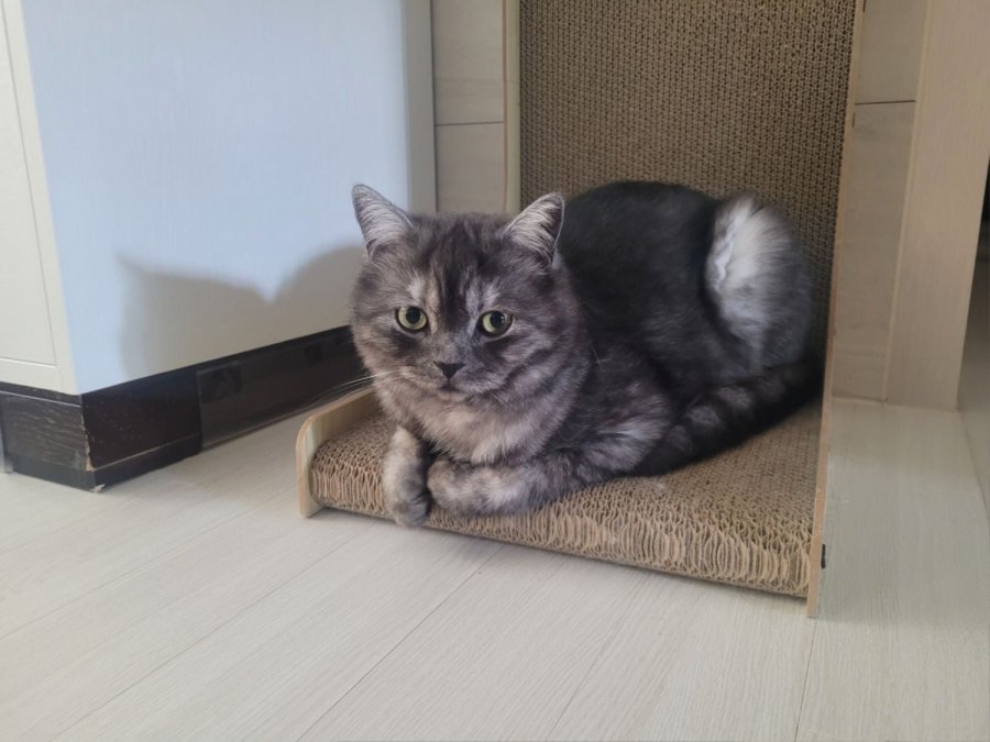 츮 