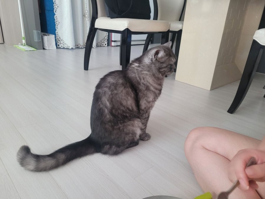 츮 