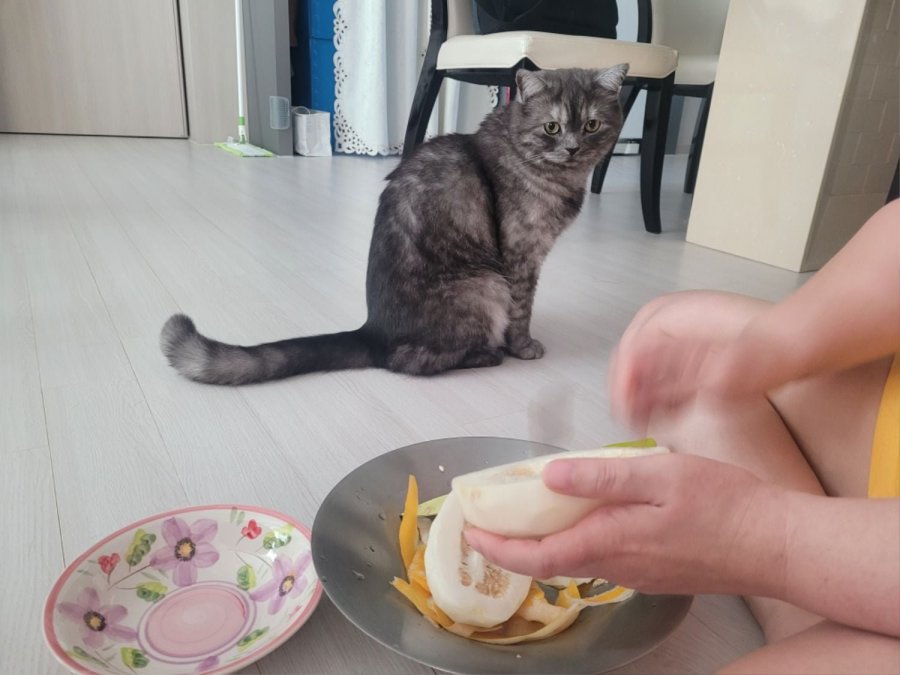 츮 