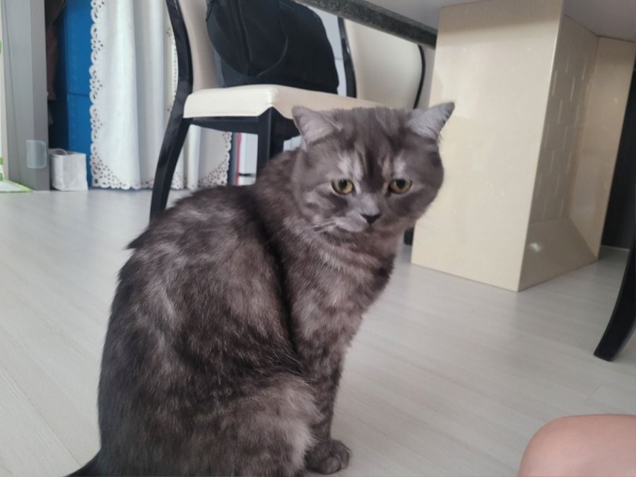 츮 
