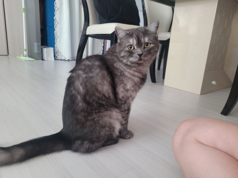 츮 