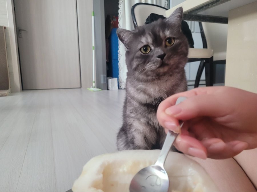 츮 