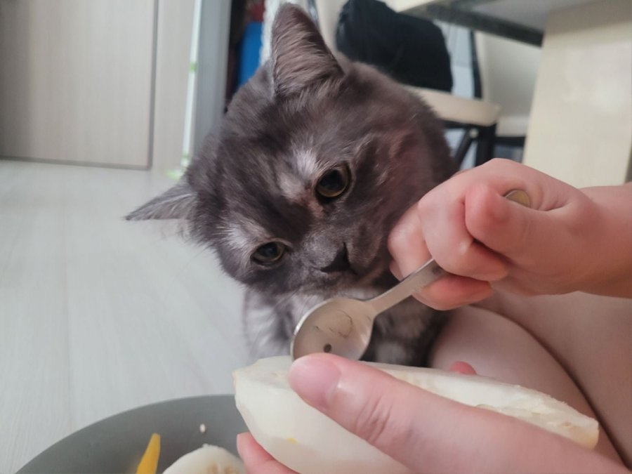 츮 