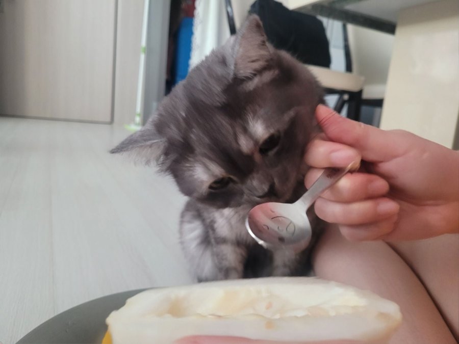 츮 