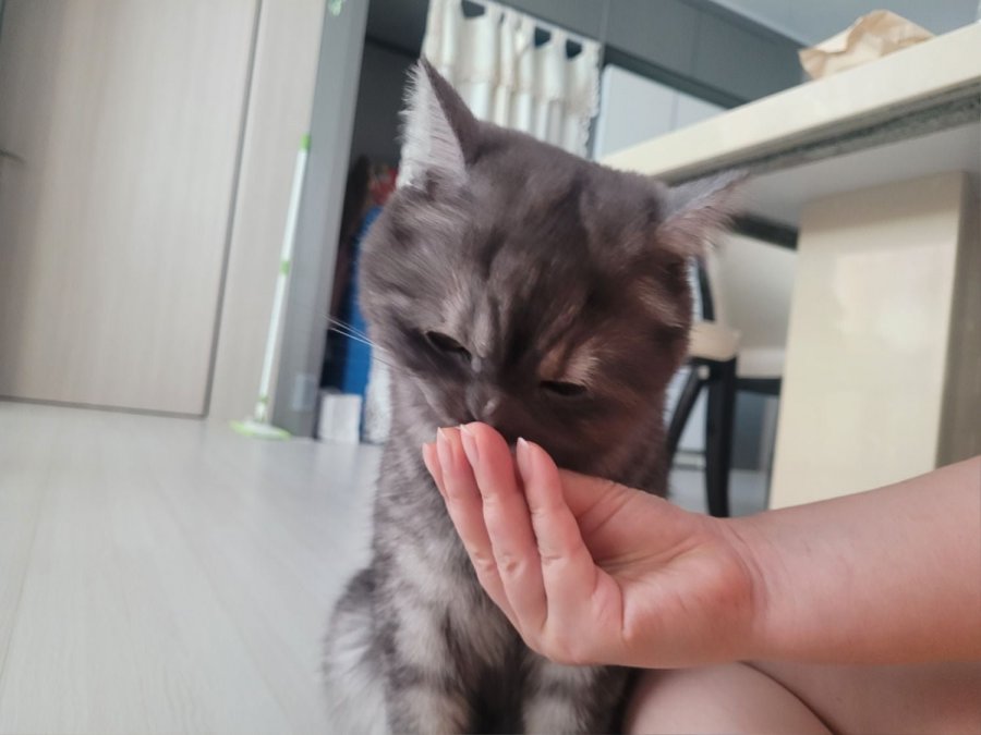 츮 