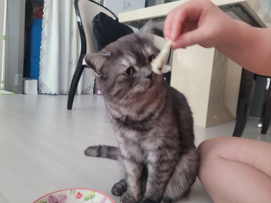 츮 