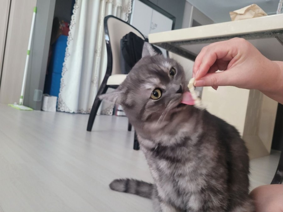 츮 