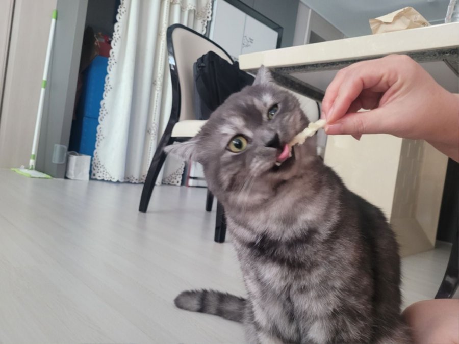 츮 