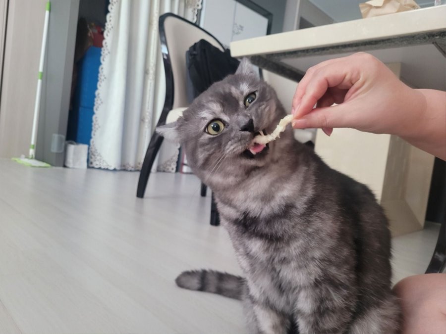 츮 