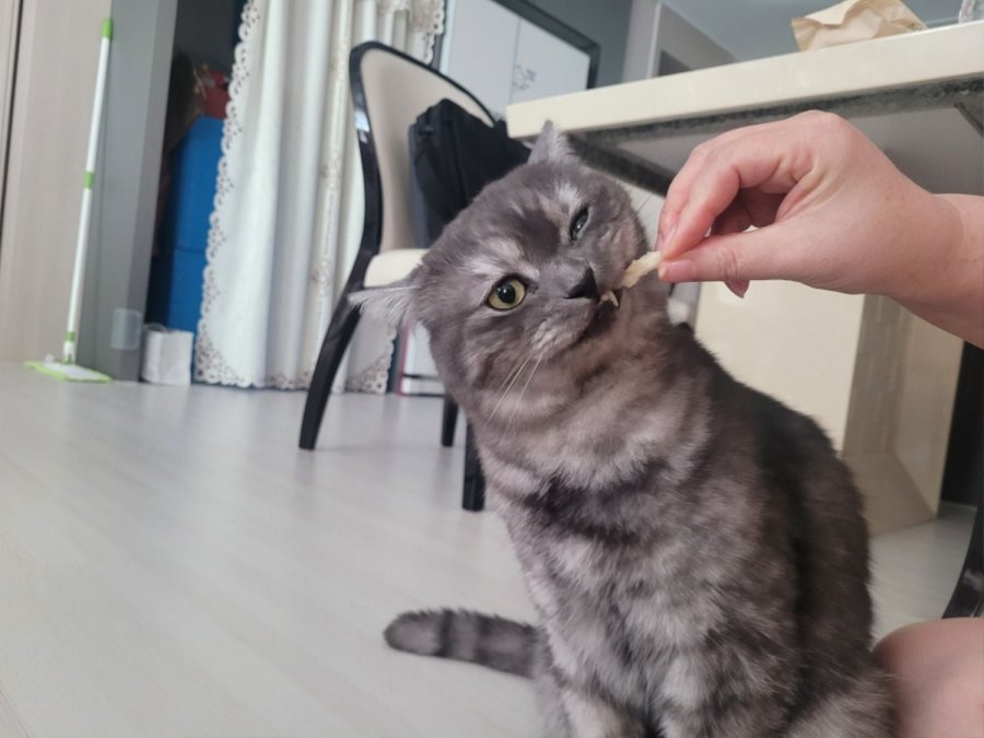 츮 