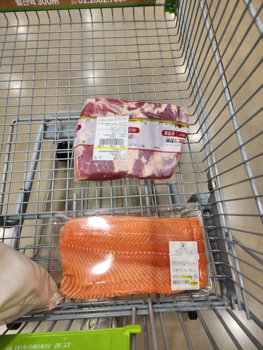  ȸ