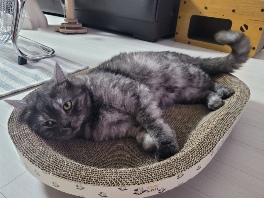 츮 