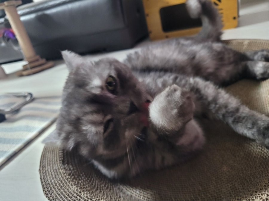 츮 