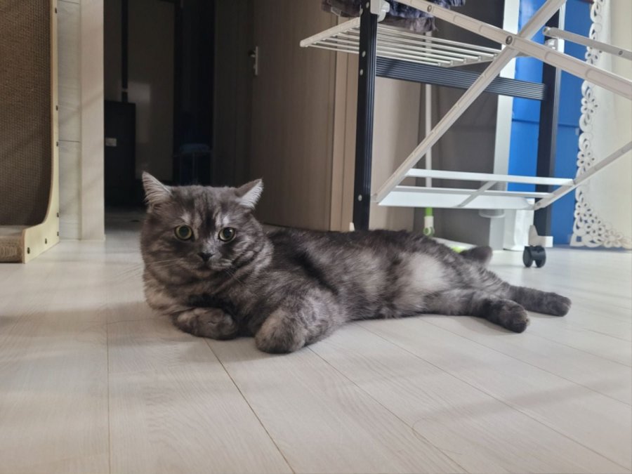 츮 