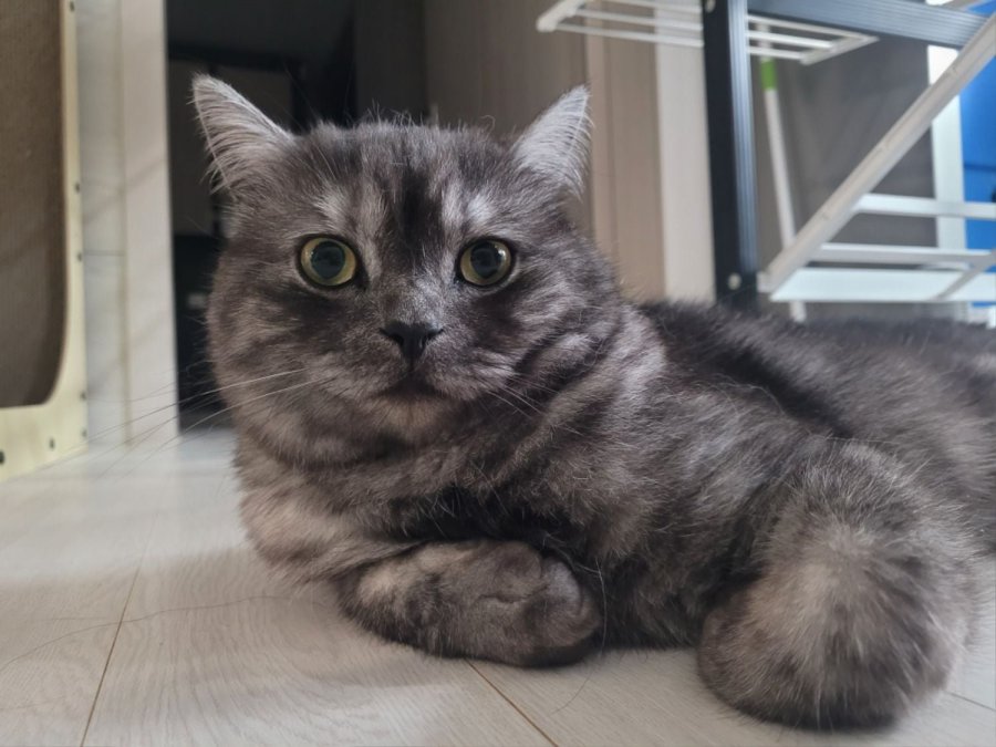 츮 