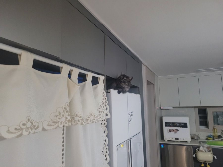 츮 