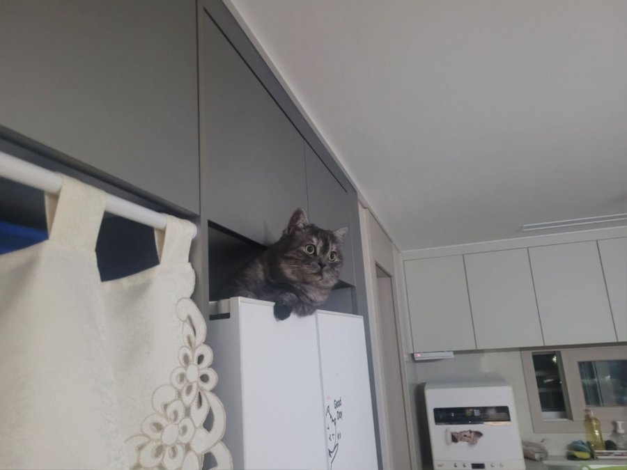 츮 