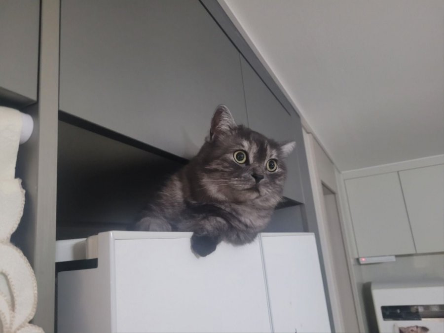 츮 