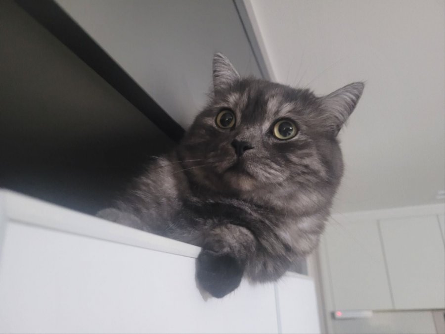 츮 