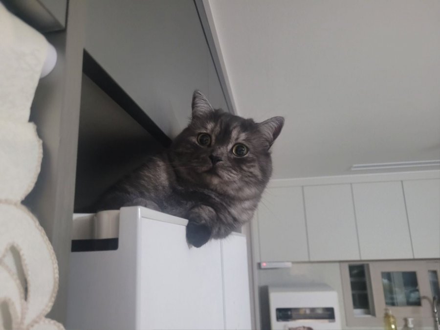 츮 