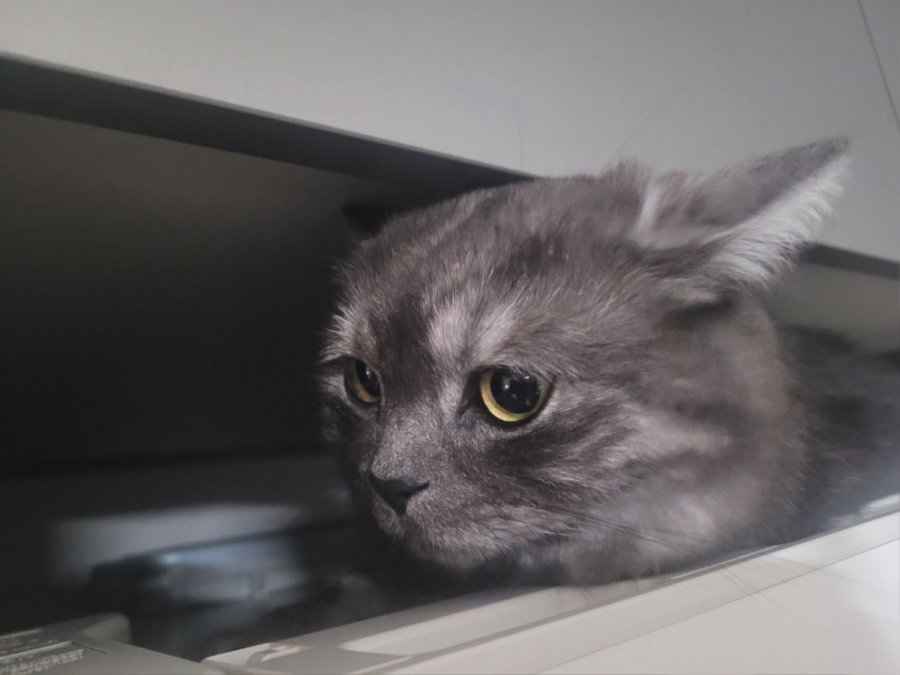 츮 