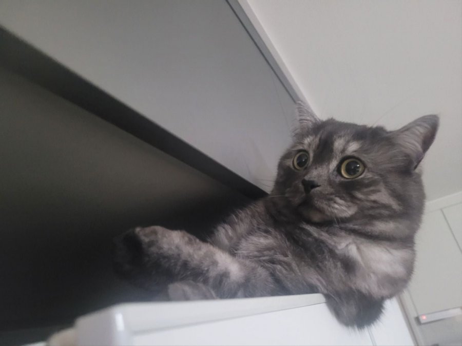 츮 