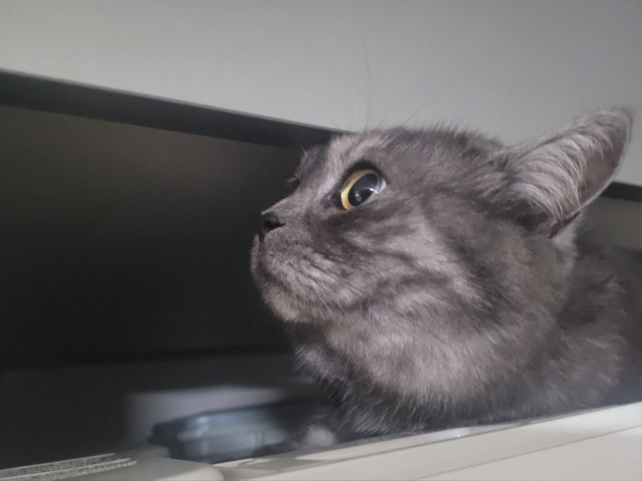 츮 