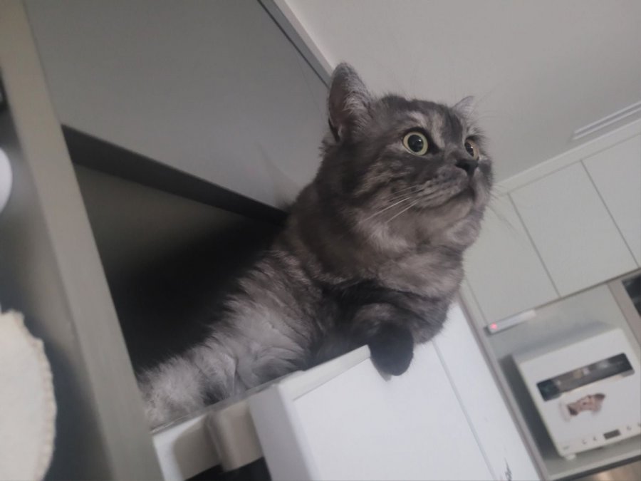 츮 