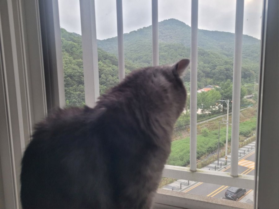 츮 