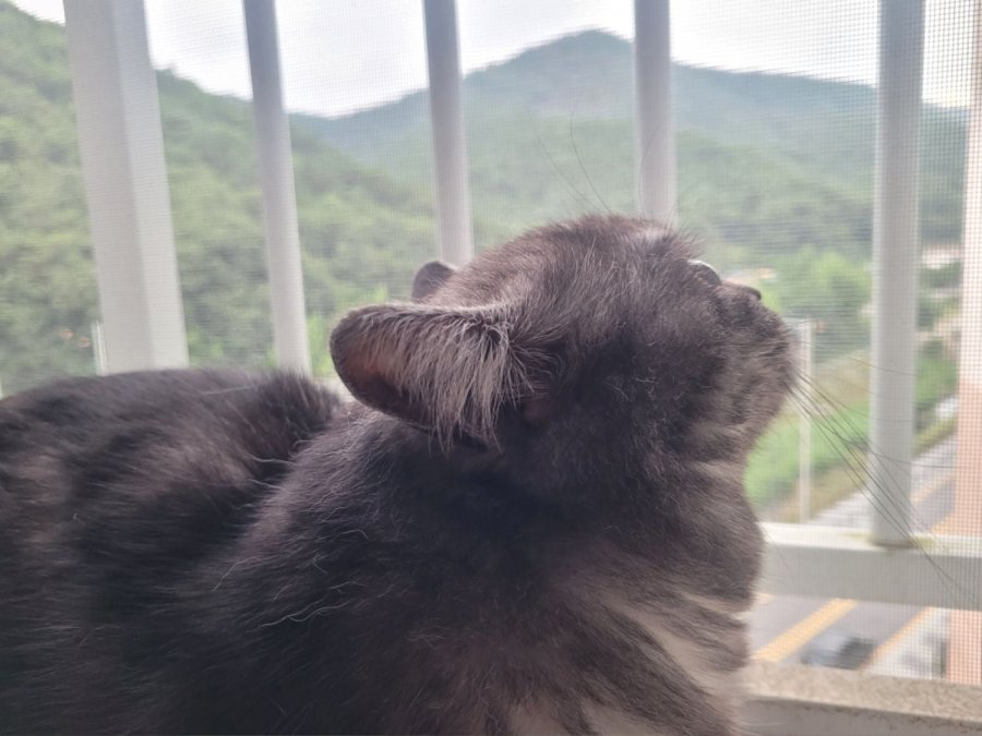 츮 