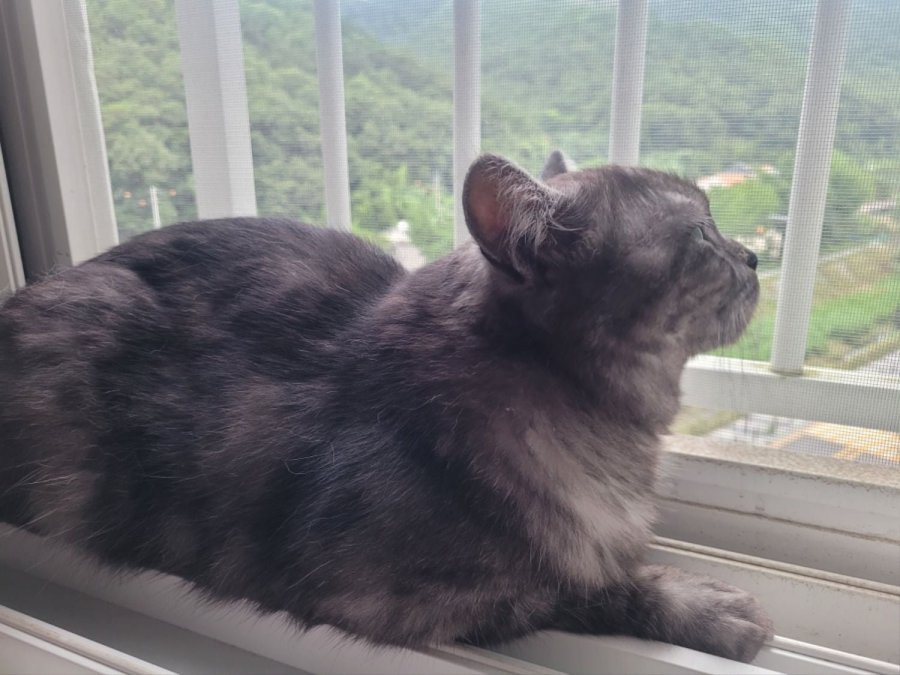 츮 