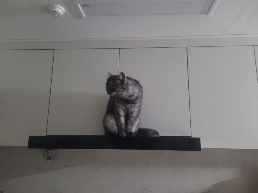 츮 