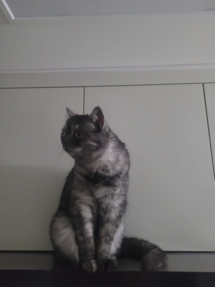 츮 