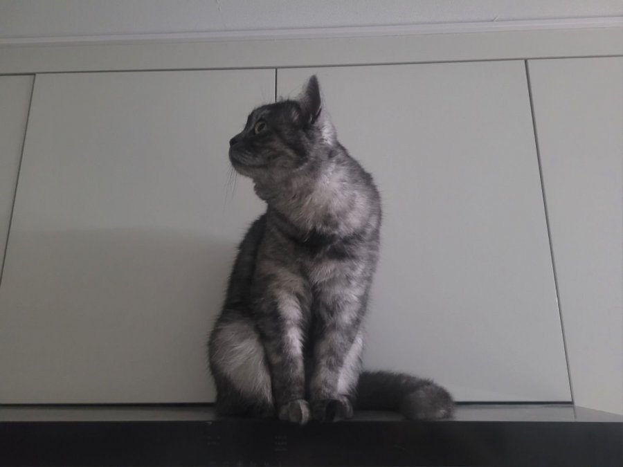 츮 