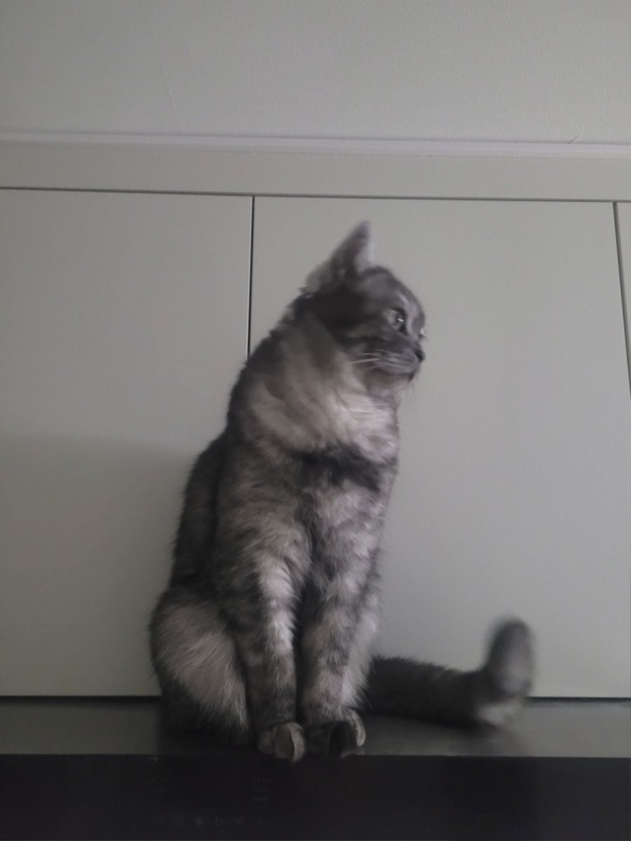 츮 