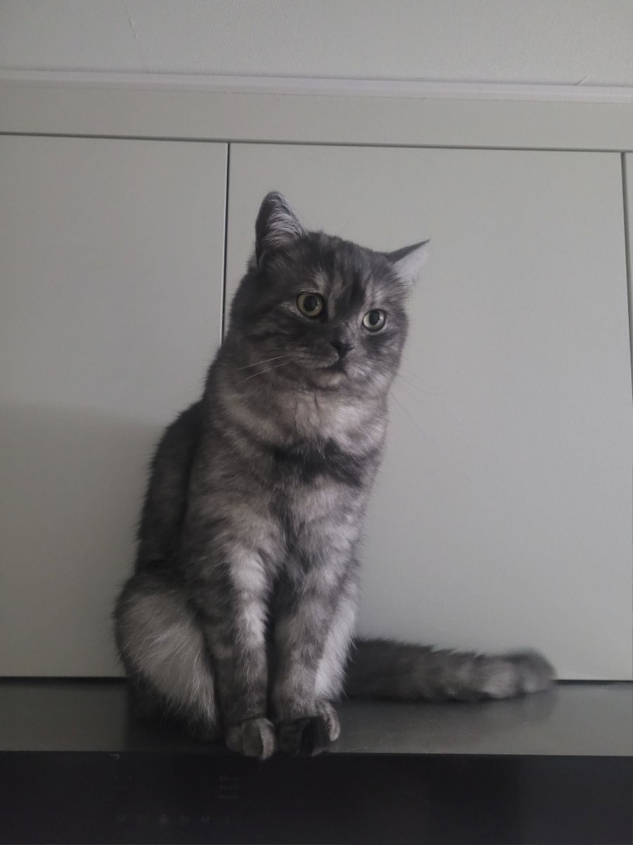 츮 