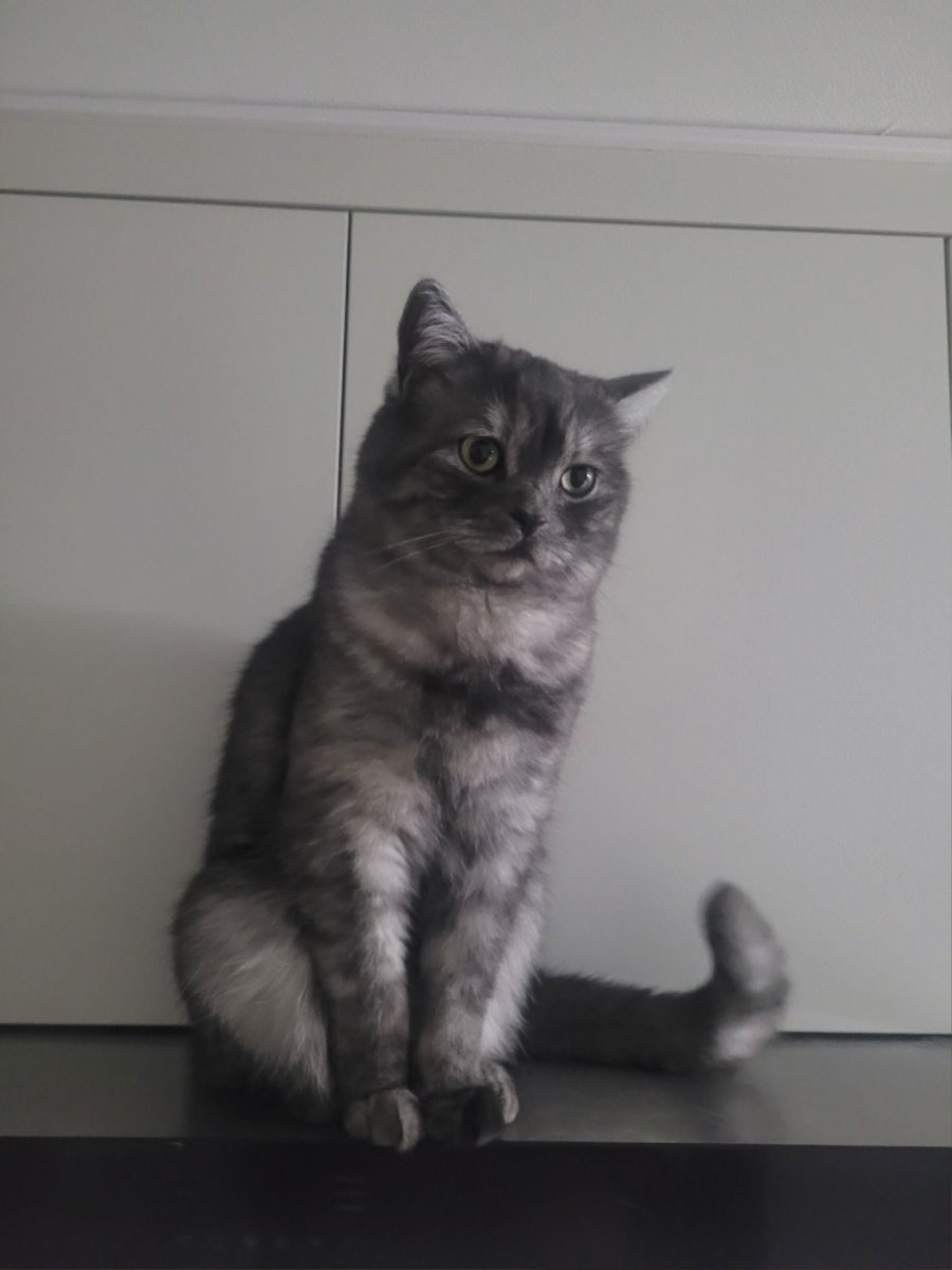 츮 