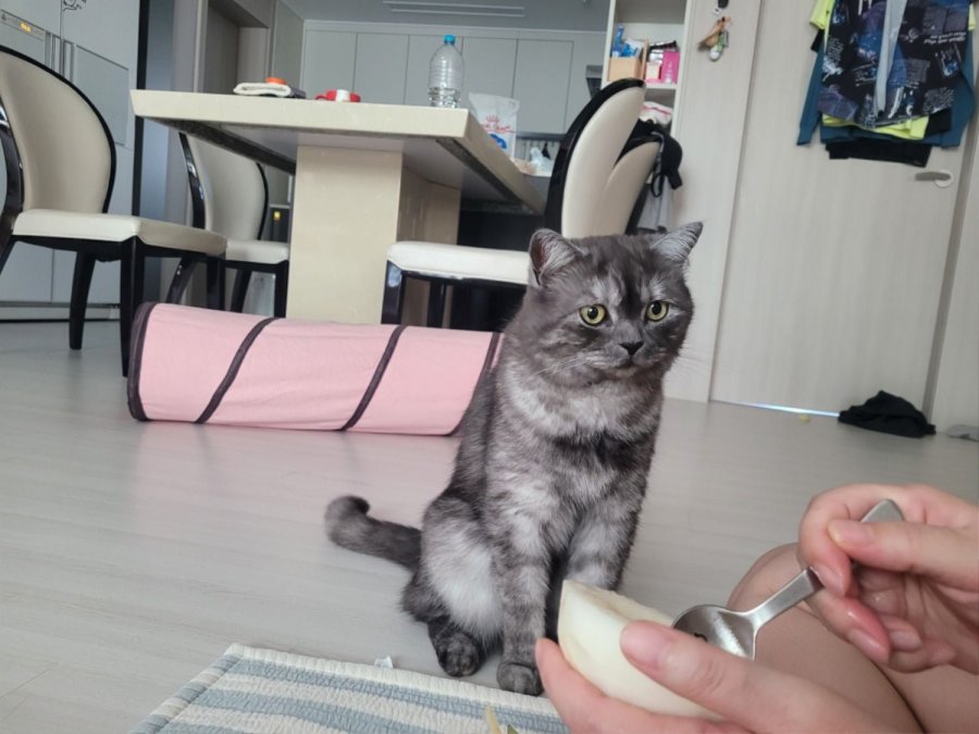 츮 