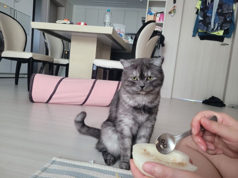 츮 