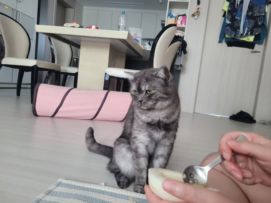 츮 