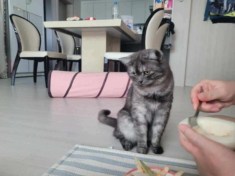 츮 