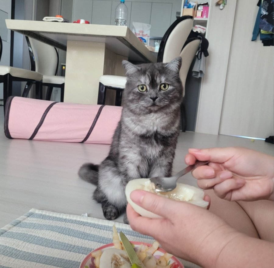 츮 