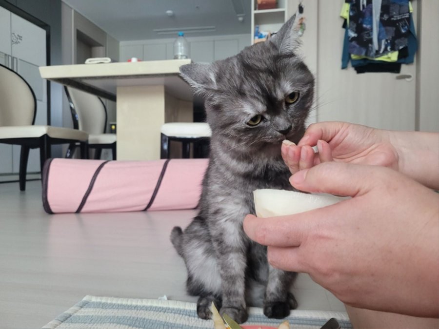 츮 